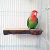 Parrot Wooden Station Frame, Apple Wood Platform, Solid Wood Step, Bird Station Pole, Teething Toy, Totoro Teething Board