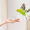 New Elastic Parrot Traction Rope Metal Buckle Multiple Size Bird Foot Chain Anti-flying Lightweight Bird Feet Bracelet for Birds