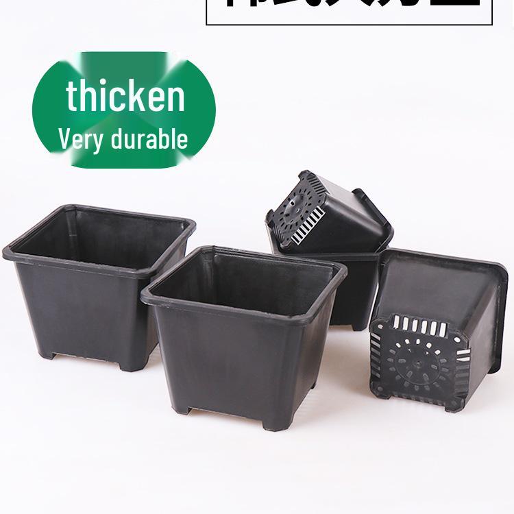 Thickened Black & White Square Bonsai and Succulent Pot