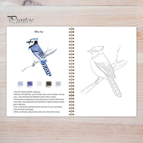 Watercolor Workbook 12 Colors Watercolor Painting Set with Paint Brush Beginner-Friendly Birds Animals Flowers Watercolor Book