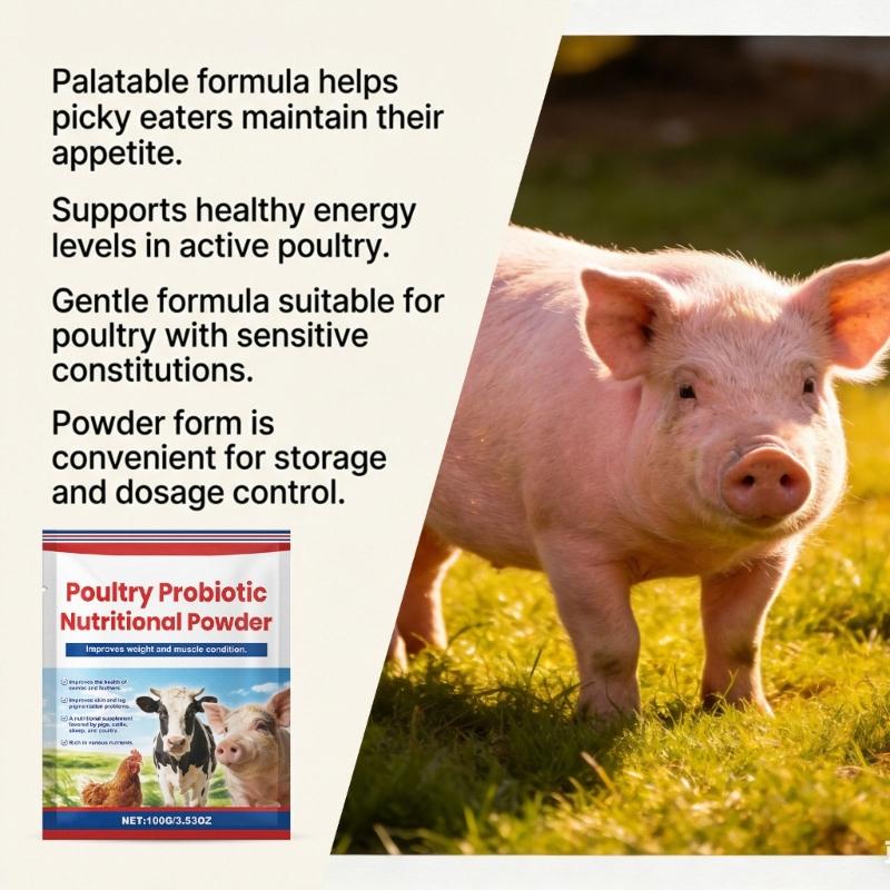 Poultry Feed Supplements Powder with Rich Probiotics And Vitamins For Livestock Strong Immune System And Healthy Growth