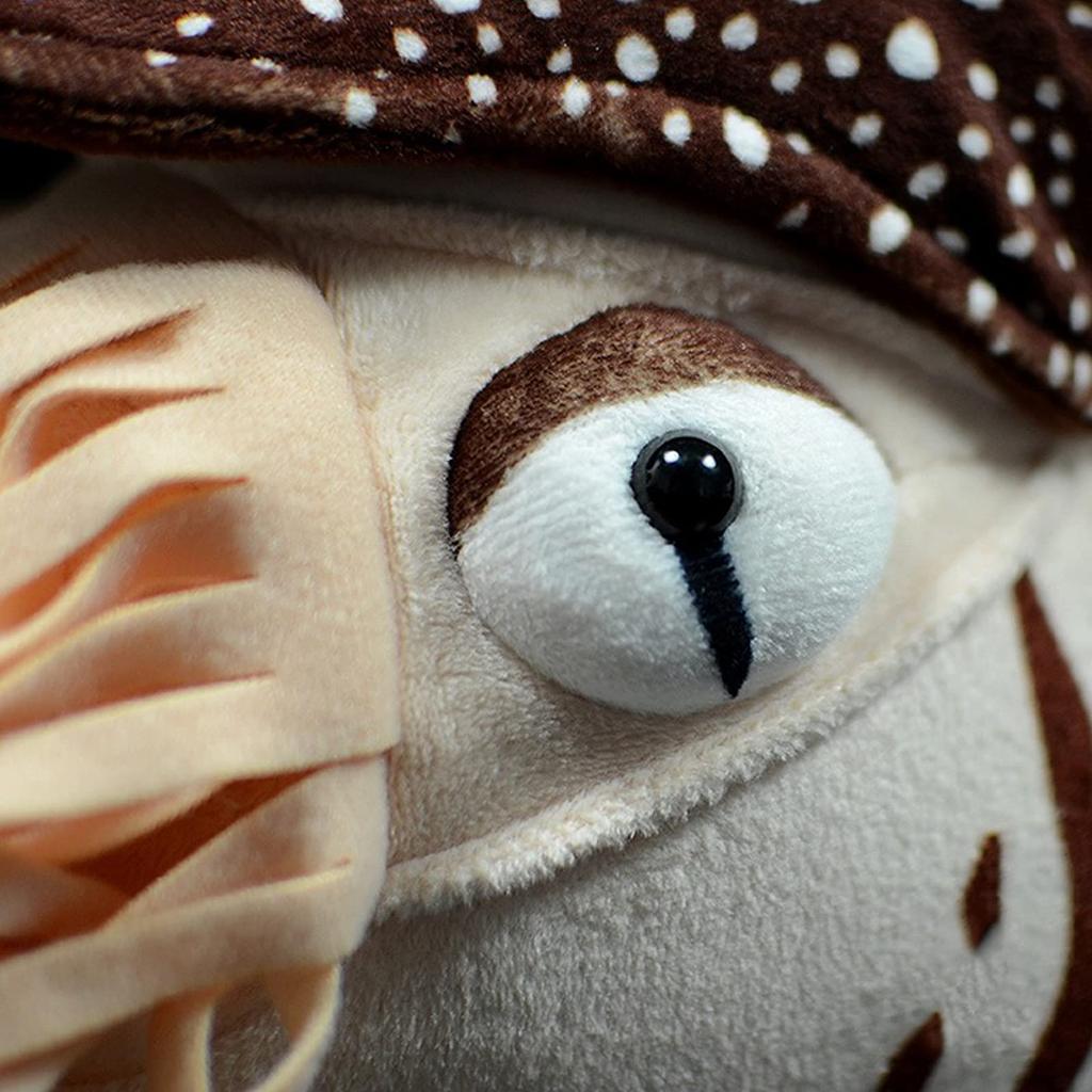 Realistic Nautilus Plush Toy Simulation Lifelike 8 Inch Nautilus Stuffed Animal Toy Soft Sea Creature Unique Plush Model Doll Collection for Kids -
