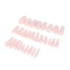 28Pcs Dental Typodont Teeth Replacement Detachable Screw-In Standard Teeth For Dentistry Preparation Training Teach