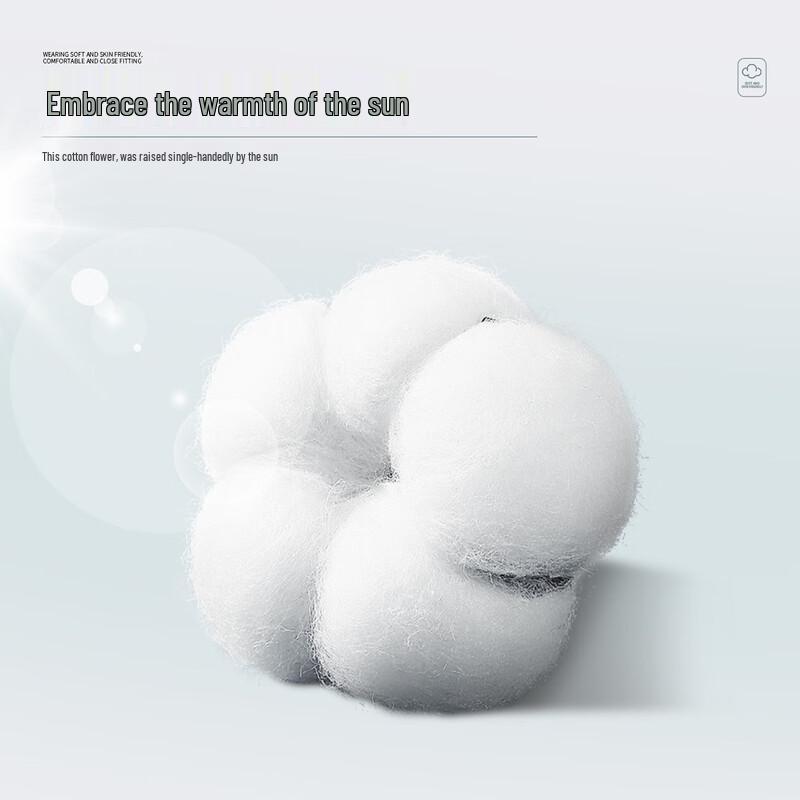 Futing Men's Lined Straight-Leg Casual Pants