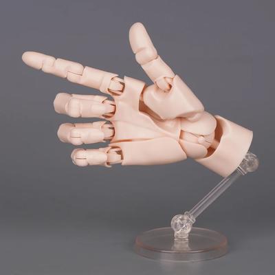 1:2 Scale Human Hand Model Mini Size Twisted Egg Design Palm Model Movable Joints With Posable Fingers Articulated Action Figure