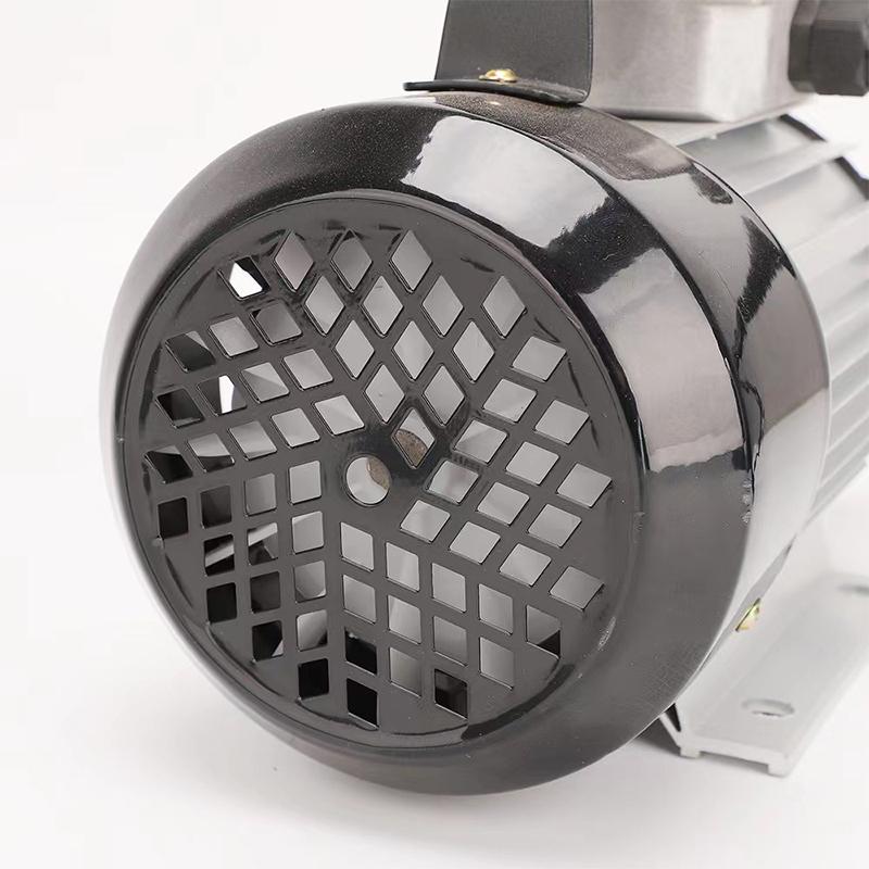 220V 750W Car Electrical Self-priming Portable Micro Gear Oil Oil Transport Pump Oil Filling Machine Electric Oil Transport Pump