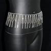Elegant Rhinestones Body Chain Waist Jewelry For Women Tassels Waist Chain Party Dress Accessory Stage Performances Props