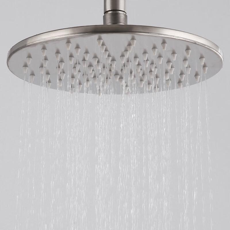 

TLXT Stainless Steel Pressurized Shower Head