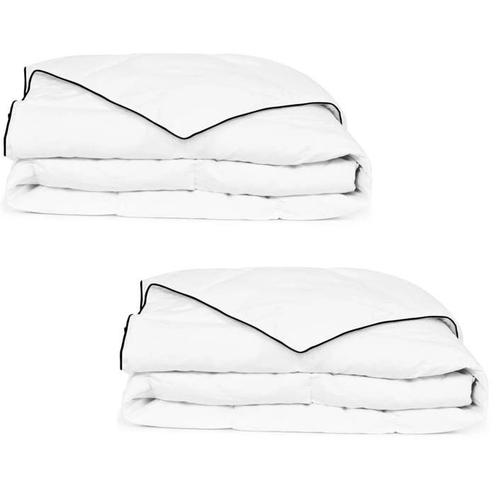 VidaXL Couette en duvet d'hiver 2 pcs 150 x 200 cm 132888