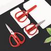 Deli 156mm Multi-purpose Stainless Steel Scissors