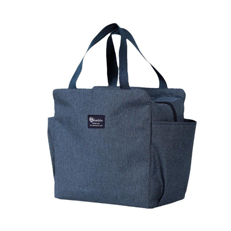 Insulated Bento Lunch Bag - Picnic and Outing Tote with Ice Pack