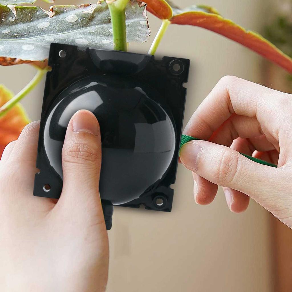 Rozmnażanie Roślin Pudełko do Odkładów Powietrznych Szczepienie przez Nacinanie Pudełko do Ukorzeniania Drzewo Ogrodowe Wysokogórskie Odkłady Powietrzne Ukorzenianie Rozmnażacz Kula Ogrodnicza