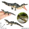 Crocodile Animal Model Toy: Caiman, Gharial, Nile Crocodile, Wild Boar, Deinosuchus - Kids' Educational Ornament
