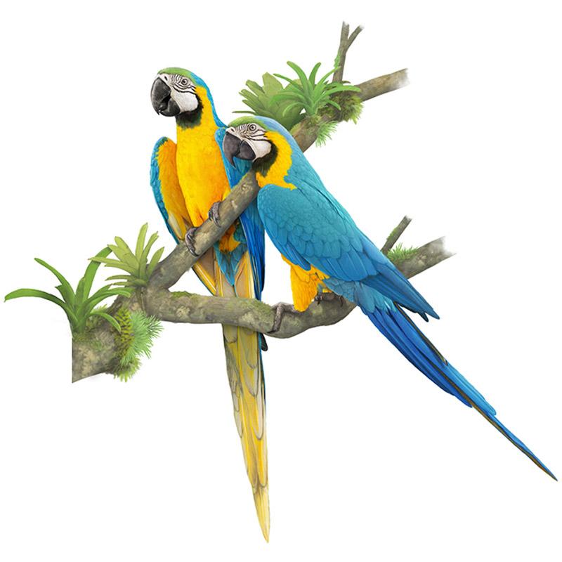 Exquisite Hand Painted Color Parrot Wall Sticker Home Decoration Decals for Bedroom Kitchen Living Room Decor Waterproof Sticker M424