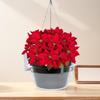 Round Hanging Basket Tray Set, Plastic 12 Pack Flower Pot Watering Trays for Window Porch Balcony and Routine Indoor Outdoor Use Daily