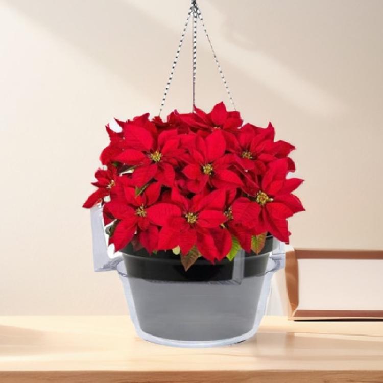 Round Hanging Basket Tray Set, Plastic 12 Pack Flower Pot Watering Trays for Window Porch Balcony and Routine Indoor Outdoor Use Daily