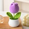 Mini Tulips Crochet Flowers Potted Cute Knitting Flowers Table Car Decor Handmade Artificial Tulips Flores