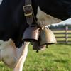 Retros Metal Animal Bells Rusty Farm Decoration Livestock Tracking Durability Iron Ranch Styles Accessory