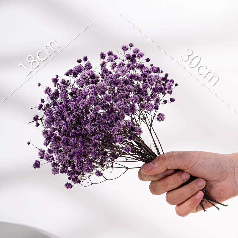 

Dried Flowers Junesnow Living Room Decoration Photo Props Ornament Gift Colorful фіолетовий