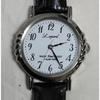 Used CITIZEN E031-S059216 Watch