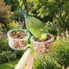 Bird Perch Stand Transparent Bird Cage Feeder With Clip Non-slip Parrot Food Bowl Plastic Wear-resistant Feeder Cup Parrot