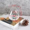 Succulent Plant Moss Glass Vase Egg Shape Fragile Glass Moss Bottle for Home Garden Ball Wedding Decor
