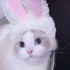 Haustierhut Leichtgewicht Polyester Weich Bequem Tragbar Niedliche Katzenmütze für Katzen Hunde Weißes Kaninchen