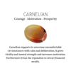 Oval Natural Carnelian Daughter Gift Handcrafted Boho Pendant Jewelry 925 Silver PP-6-31