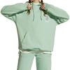 MLB Boston Red Sox Hoodie Unisex Hoodies Mint-Green 31HD02041-43T