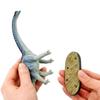 3D Real Figure Box Dino Dinosaur Jurassic Vol.3