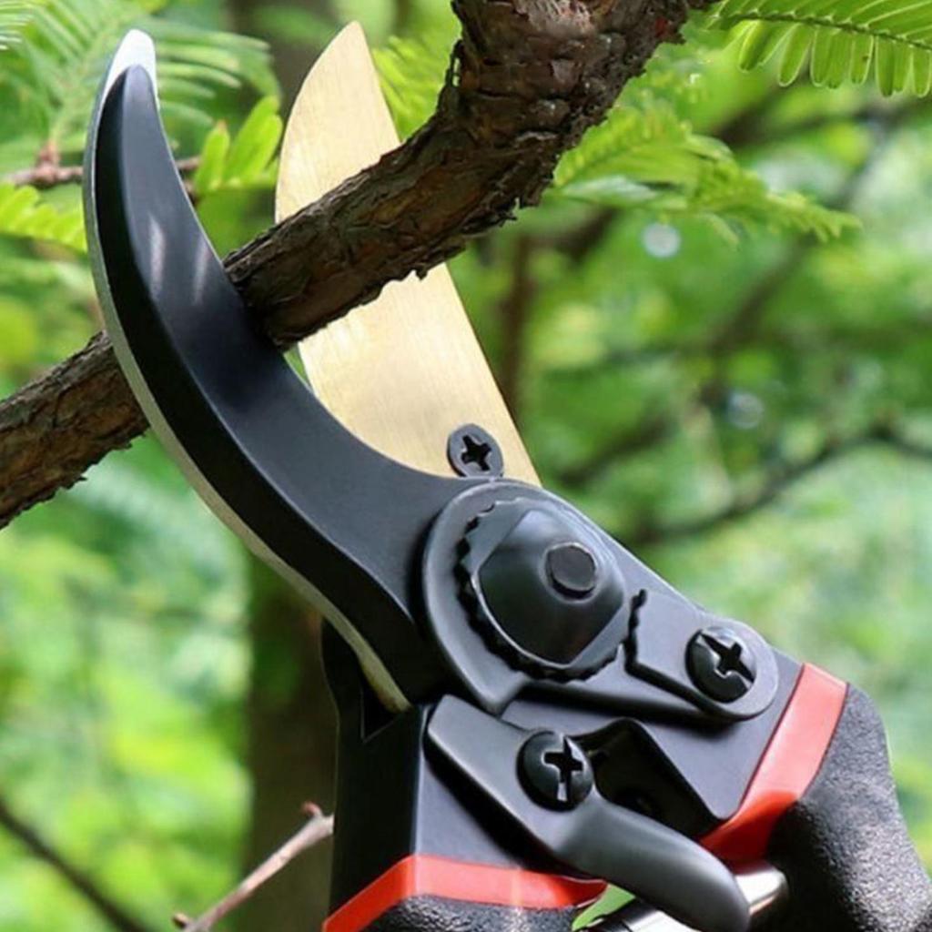Labor-Saving Gardening Pruning Trees Cut Pruning Shears SK-5 Blade Scissors for Bonsai/Fruit Tree/Flowers/Branches Garden Pruner