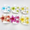 3 Stuks/Set Kleurverloop Hawaïaanse Bloemen Haarclip Plumeria Bloemen Paardenstaart Clip Nieuwe Haarklauwen Strand