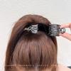 Elegant Metal Hairpin for High Ponytails - High-Grade Female Hair Accessory