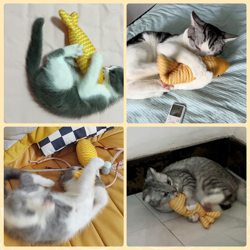 Hoopet Interactive Cat Toys