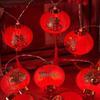 New Year Festival LED Red Hanging Lantern String Lights - Solar/Plug-in Fu Character Decoration
