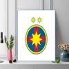 FCSB Bucuresti Pattern  3pcs 100% Round Full Drill 5D DIY Diamond Painting Embroidery Cross Stitch Rhinestone Décor