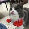 Gatto Muscolo Braccio Stampato in 3D Cosplay Supereroe Gatto Collo Braccio con Muscolo per Gattino Gatto Accessori Costume Halloween