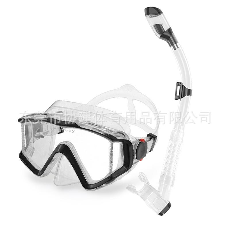 Adult Snorkel Set Anti-Fog Diving Mask Full Dry Breathing Tube Swimming