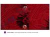 Hengyuanxiang Winter Velvet-Enhanced Cotton Jacket for Elderly Women