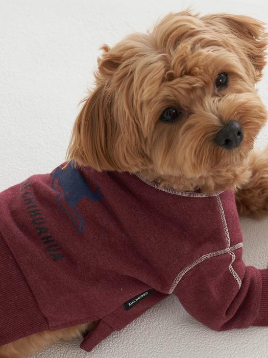 

CROOKTHECHIHUAHUA Logo graphic sweatshirt - red dahlia red dahlia