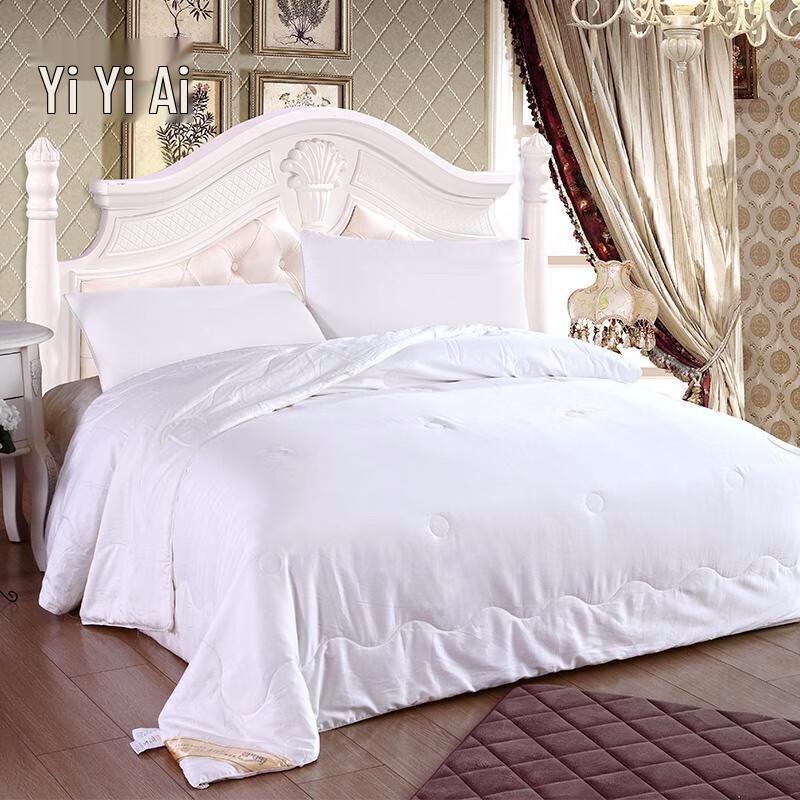 

Yiyiai 100% Mulberry Silk Duvet