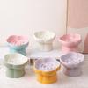 Shuoni Elevated Ceramic Slow Feeder Pet Bowl