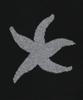 THE COLDEST MOMENT Tcm Starfish Knit (Black)