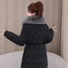 Herbst Winter Verdicken Warmer Parka Damen Lässig Einfarbig Große Tasche Locker Kurze Jacken Oberbekleidung