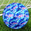 Sonic Theme Size 5 Soccer Ball, Suitable for Both Indoor and Outdoor Matches, a Gift Suitable for Everyone.
