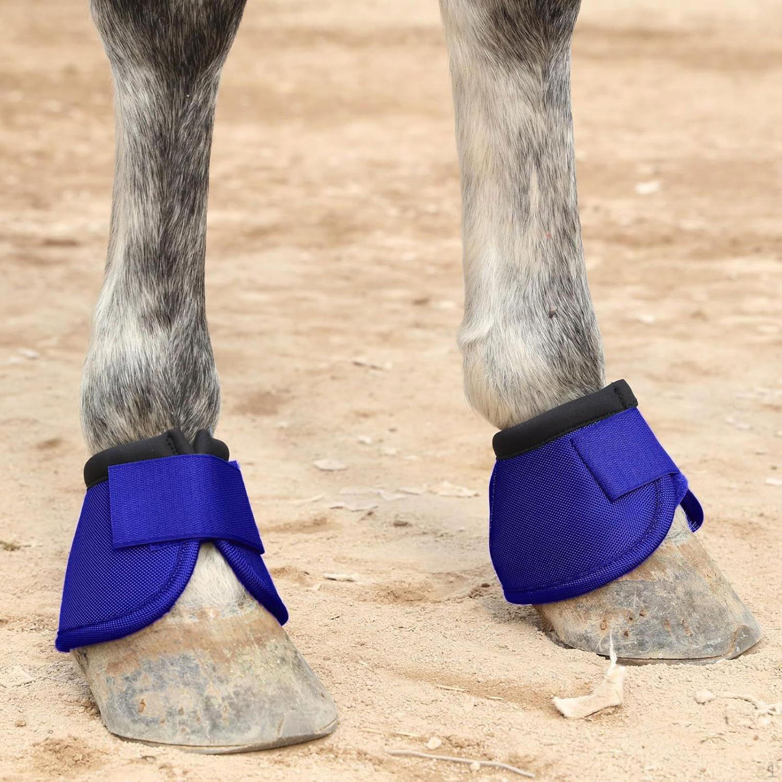 

Set of Gear for Horses, , Wearresistant, Practical Accessories, with Handle S