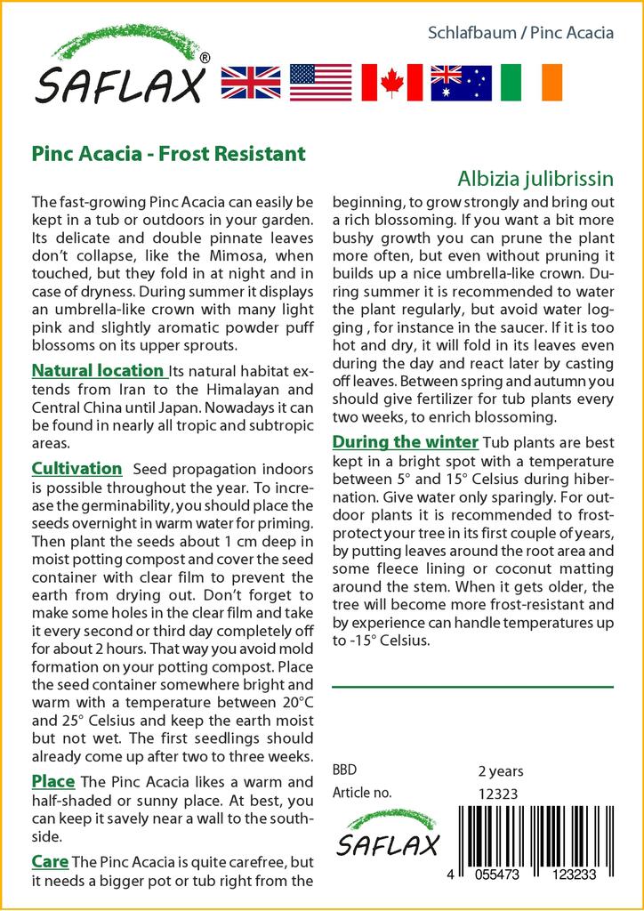 SAFLAX Pinc Akazie - 50 Samen - Albizia julibrissin