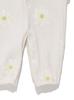 BABY Daisy Pattern 2WAY All PBCO251498 PNK 50 [Gelato Pique]