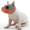 Mesh Structure Flat Face Dog Muzzle Adjustable Strap Pug Muzzle Breathable Muzzle  Daily Training