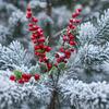 52cm Christmas Red Holly Berries Branch with Green Leaves Fake Berry DIY Garland Xmas Tree Ornaments Festival Party Home Decor